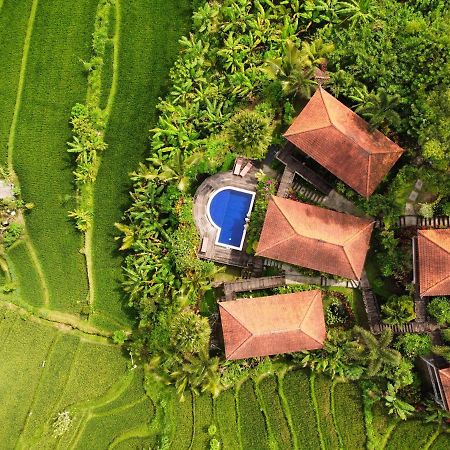 Barong Villas Sidemen  Eksteriør billede