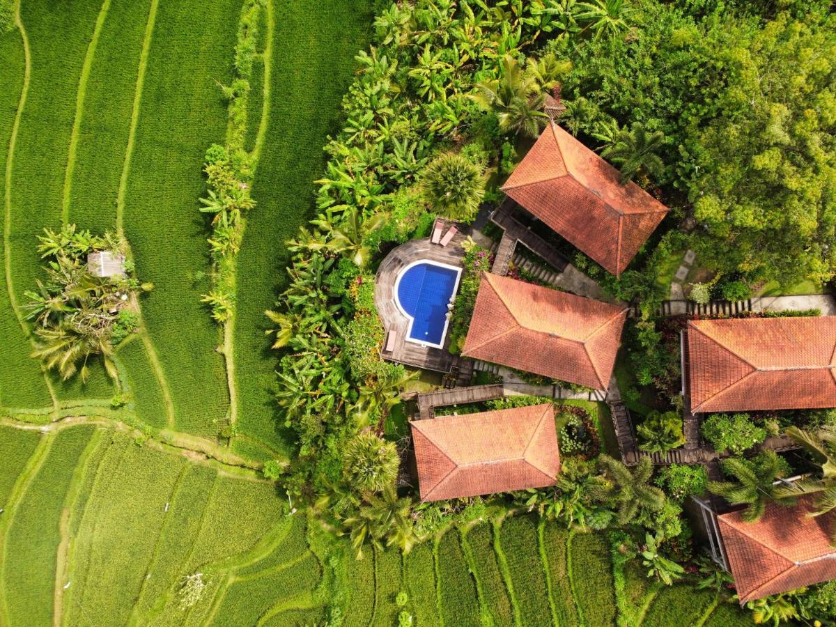 Barong Villas Sidemen  Eksteriør billede